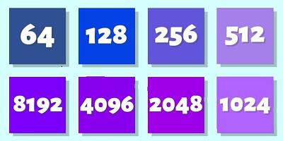 2248游戏