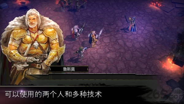 侠盗的心无限钻石版