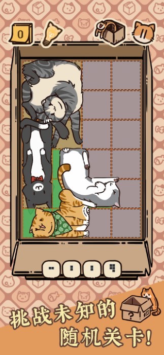 盒子猫游戏