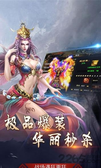 玛法英雄之传奇来了手游九游版