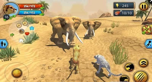猎豹家庭3d手机破解版 猎豹家庭3d手机破解版