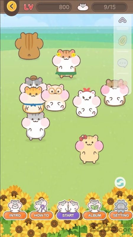 仓鼠城正式版