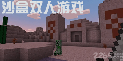 沙盒双人游戏