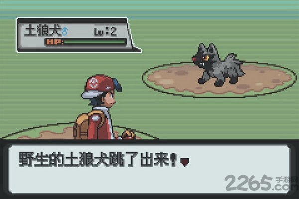 口袋妖怪白金珍藏版内购破解版