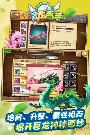 育龙高手oppo版本