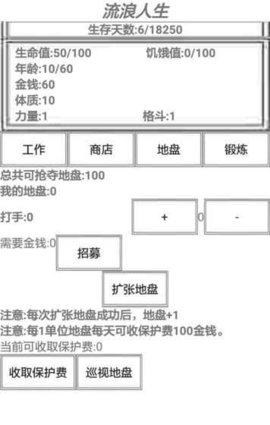 流浪人生手游