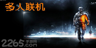 多人联机游戏