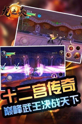 龙之灵游戏
