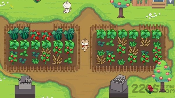 猫咪森林露营地的故事无限金币版