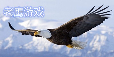老鹰游戏