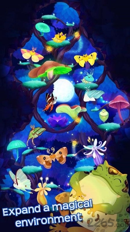 蝴蝶之星夜中文版