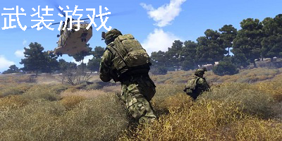 武装游戏