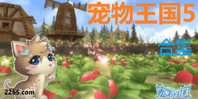 宠物王国5