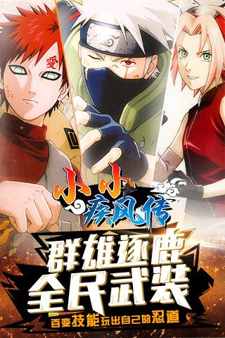 小小疾风传完整版