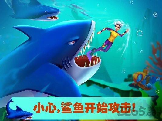 美小鱼的秘密29破解版
