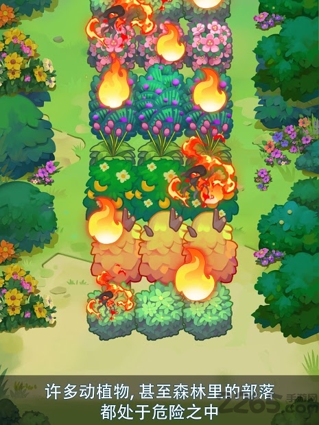 索菲亚与杰克森林英雄