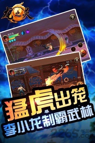 龙之灵游戏