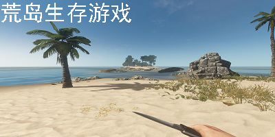 荒岛生存游戏