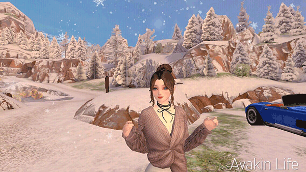 Avakin虚拟世界捏脸数据大全