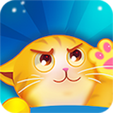 猫猫做果冻手机版
