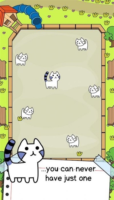 猫咪进化疯狂合并游戏
