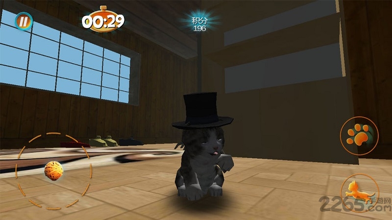 真实小猫3d模拟游戏