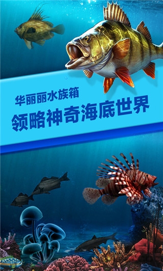 钓鱼时代官网版 钓鱼时代免费下载