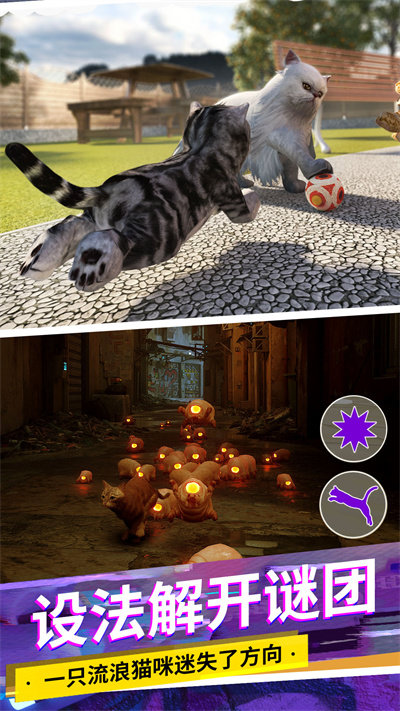 猫咪城市模拟手机版