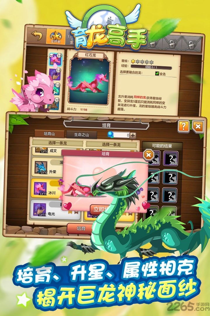 育龙高手手游百度版