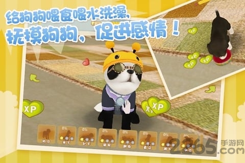 心动小狗伙伴支付宝版