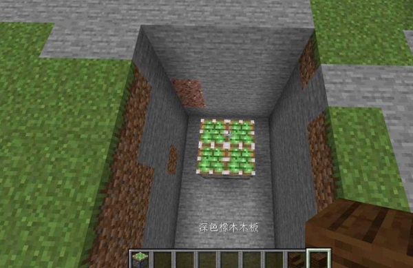 minecraftjava版