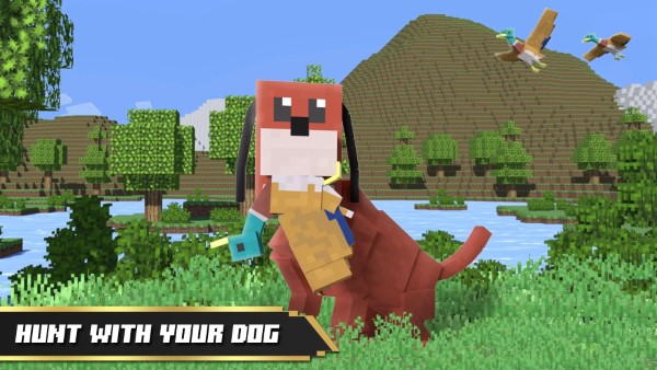 鸭子狩猎3d游戏(duck hunt 3d)