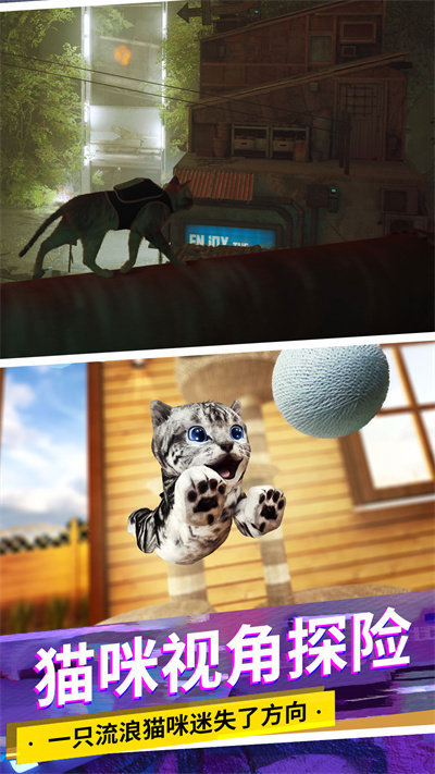 猫咪城市模拟手机版