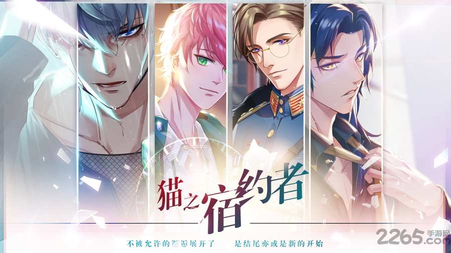 猫之宿约者官方版