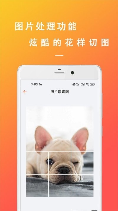 万能枝条文案控app