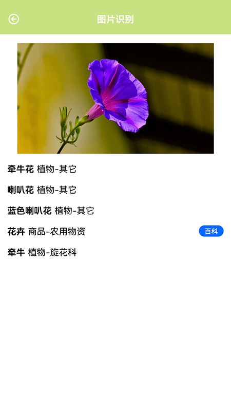 认识植物app