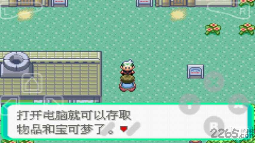 口袋妖怪绿宝石493金手指版