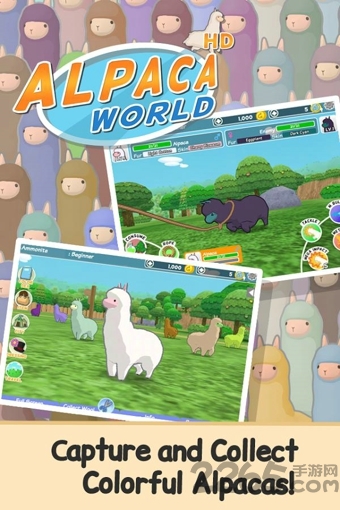 羊驼世界中文破解版