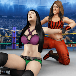 美女摔跤模拟器内置菜单版(女子格斗Bad Girls Wrestling)