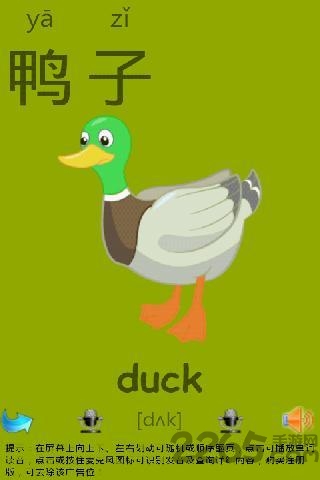 常用汉字识字卡片软件