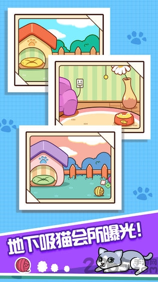 跑跑云养猫内购破解版