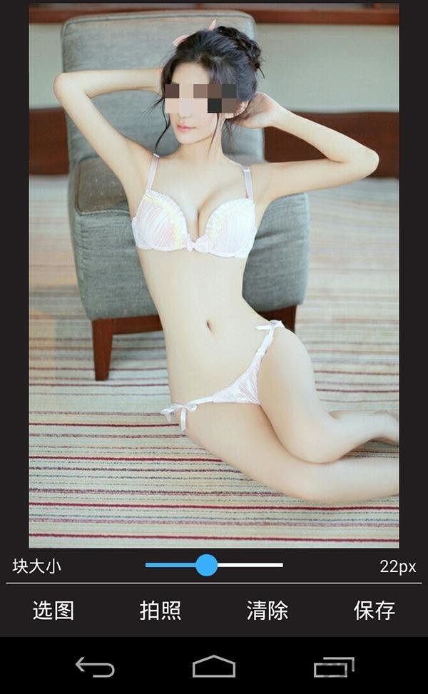 马赛克手机版