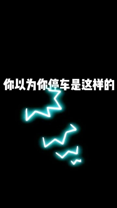 侧方位停车官方版