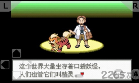 口袋妖怪极光石精装版