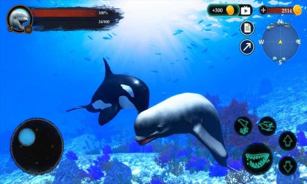 白鲸模拟器游戏(the beluga whale)