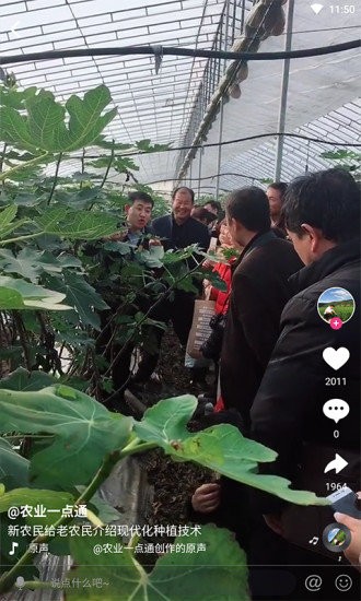 农兜直播带货平台