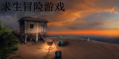 求生冒险游戏