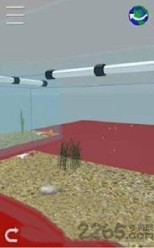 我的孔雀鱼手机版