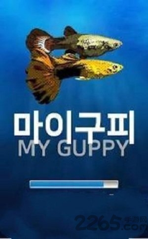 我的孔雀鱼游戏下载