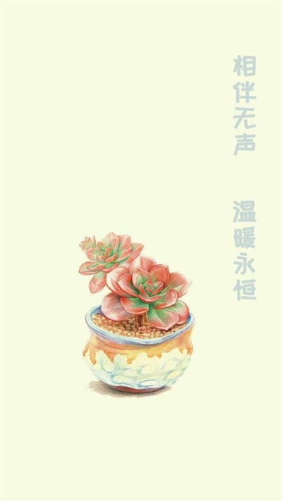 小墨多肉日记app